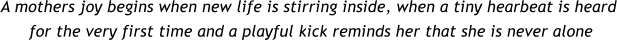 A mothers joy begins when new life is stirring inside, when a tiny hearbeat is heard  for the very first time and a playful kick reminds her that she is never alone